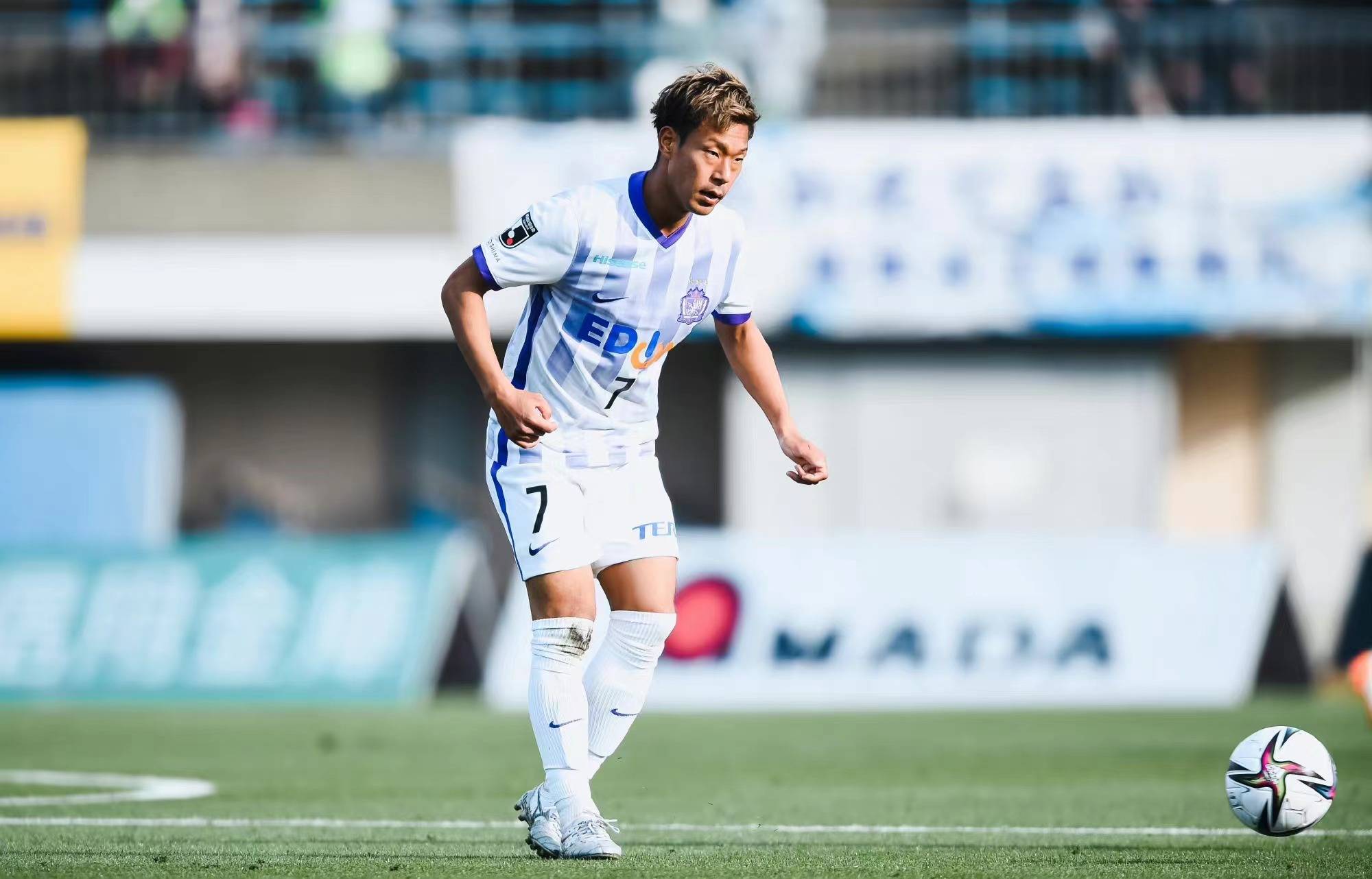 福冈黄蜂全员备战,迎击广岛三箭的挑战的简单介绍 福冈黄蜂全员备战,迎击广岛三箭的挑战的简单介绍