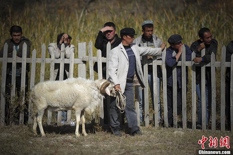 世俱杯分组-梅斯客场战平尼姆,难分胜负