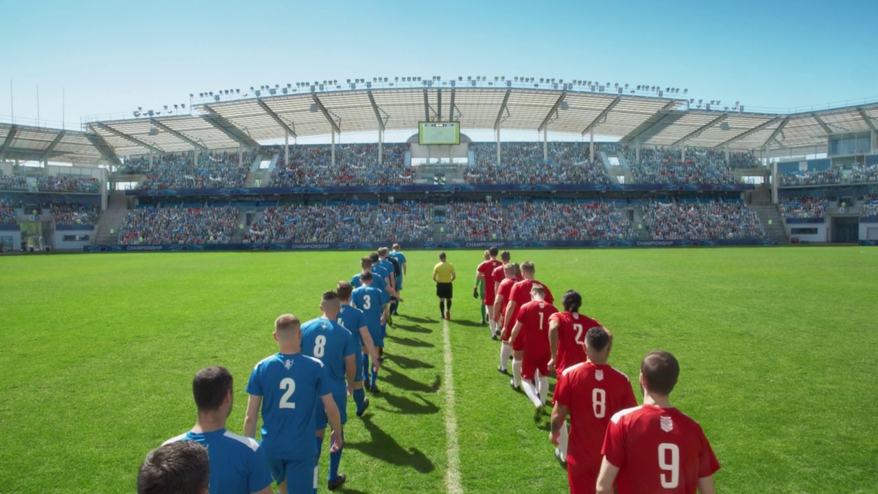 关于足球比赛赛果公布，胜者欢呼不已的信息