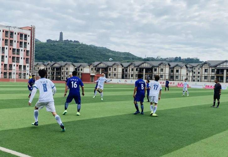 世俱杯-卡迪夫城客场告捷,防守表现亮眼的简单介绍