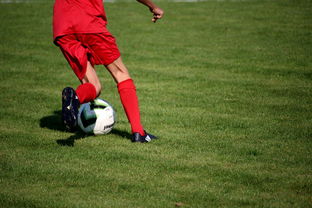 世俱杯参赛资格-西悉尼流浪者防守体系稳固，力求半决赛再创佳绩