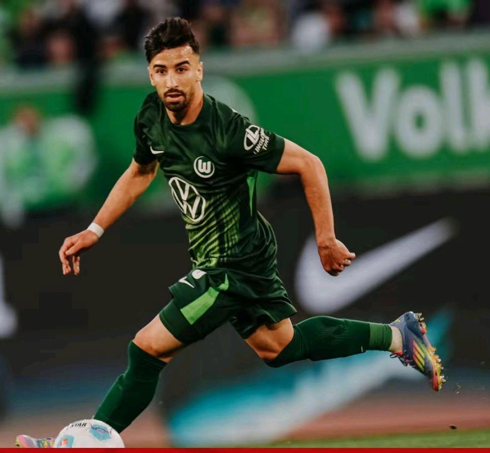 霍芬海姆持续高歌猛进,冲刺联赛榜首 霍芬海姆持续高歌猛进,冲刺联赛榜首