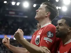 世俱杯官网-瑞典欧预赛落败乌克兰，晋级望高