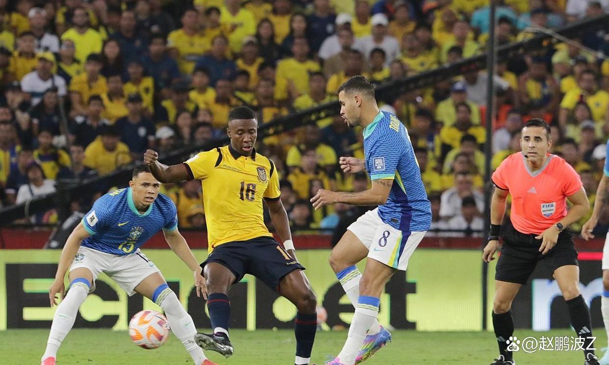 南美洲篮球锦标赛尘埃落定巴西队称霸 南美洲篮球锦标赛尘埃落定巴西队称霸