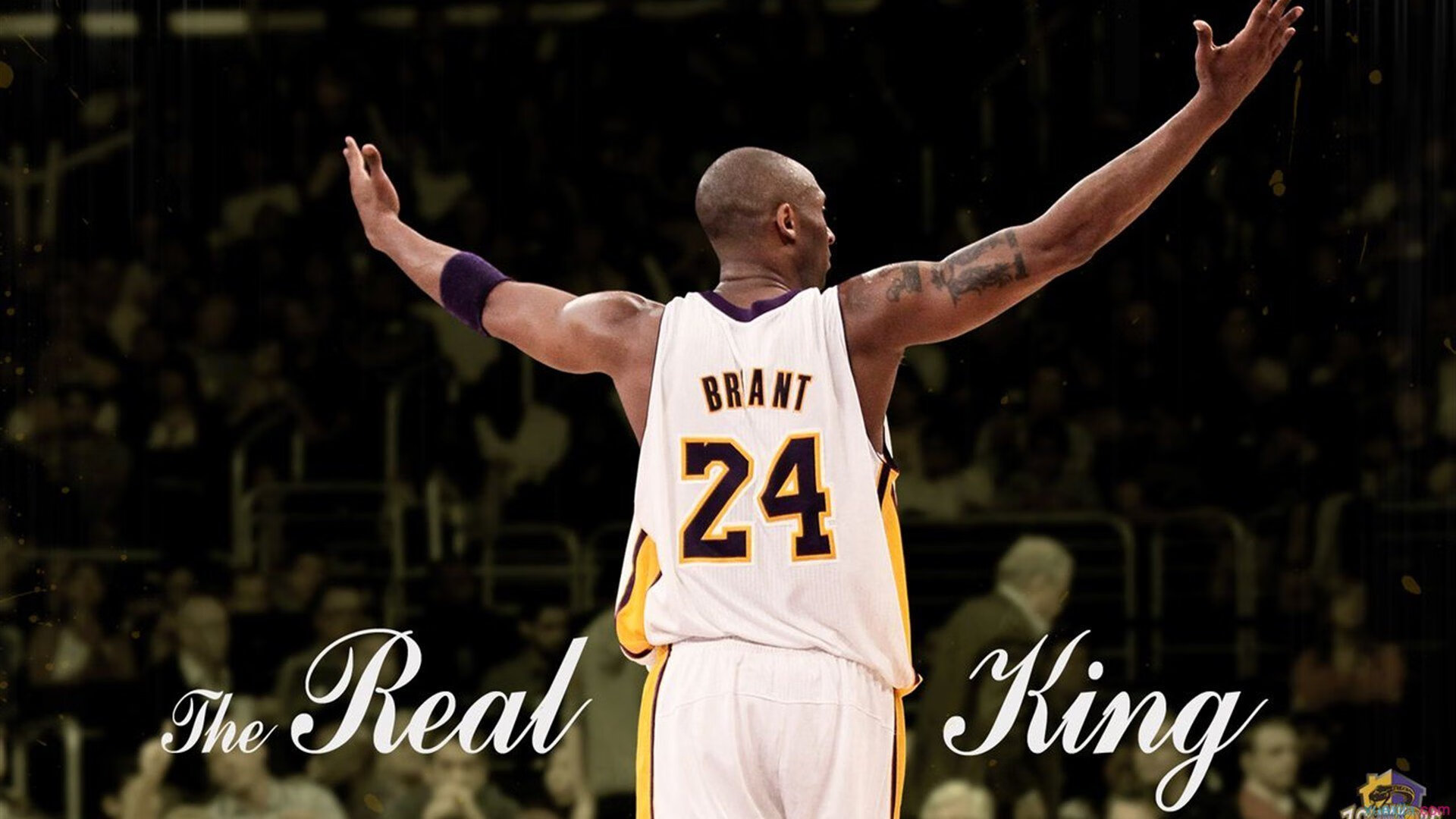 关键先生与沉静杀戮，武切维奇一球定乾坤，国王险胜骑士启示录